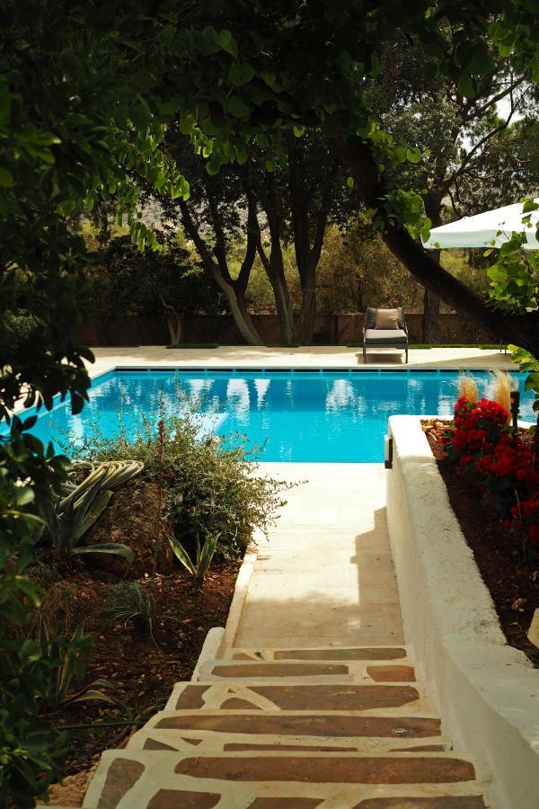 Villa Oasis With Large Pool Athenian Riviera Lagonissi Лагонісі Екстер'єр фото