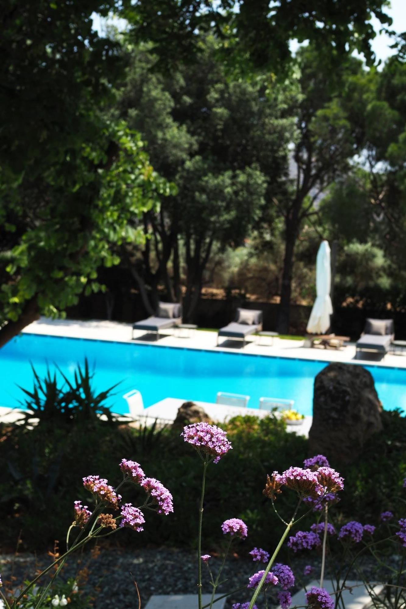 Villa Oasis With Large Pool Athenian Riviera Lagonissi Лагонісі Екстер'єр фото
